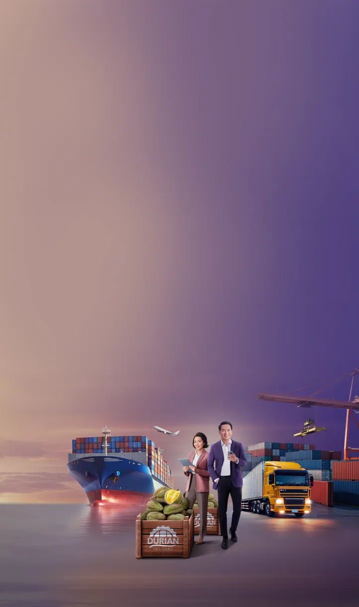 ssme-ir-or-promotion